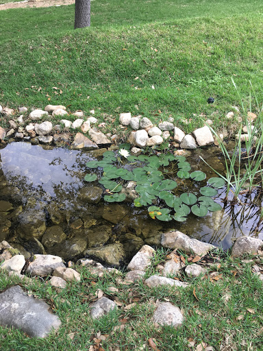 Wedding Venue «Gardens at Old Town Helotes», reviews and photos, 15060 Antonio Dr, Helotes, TX 78023, USA