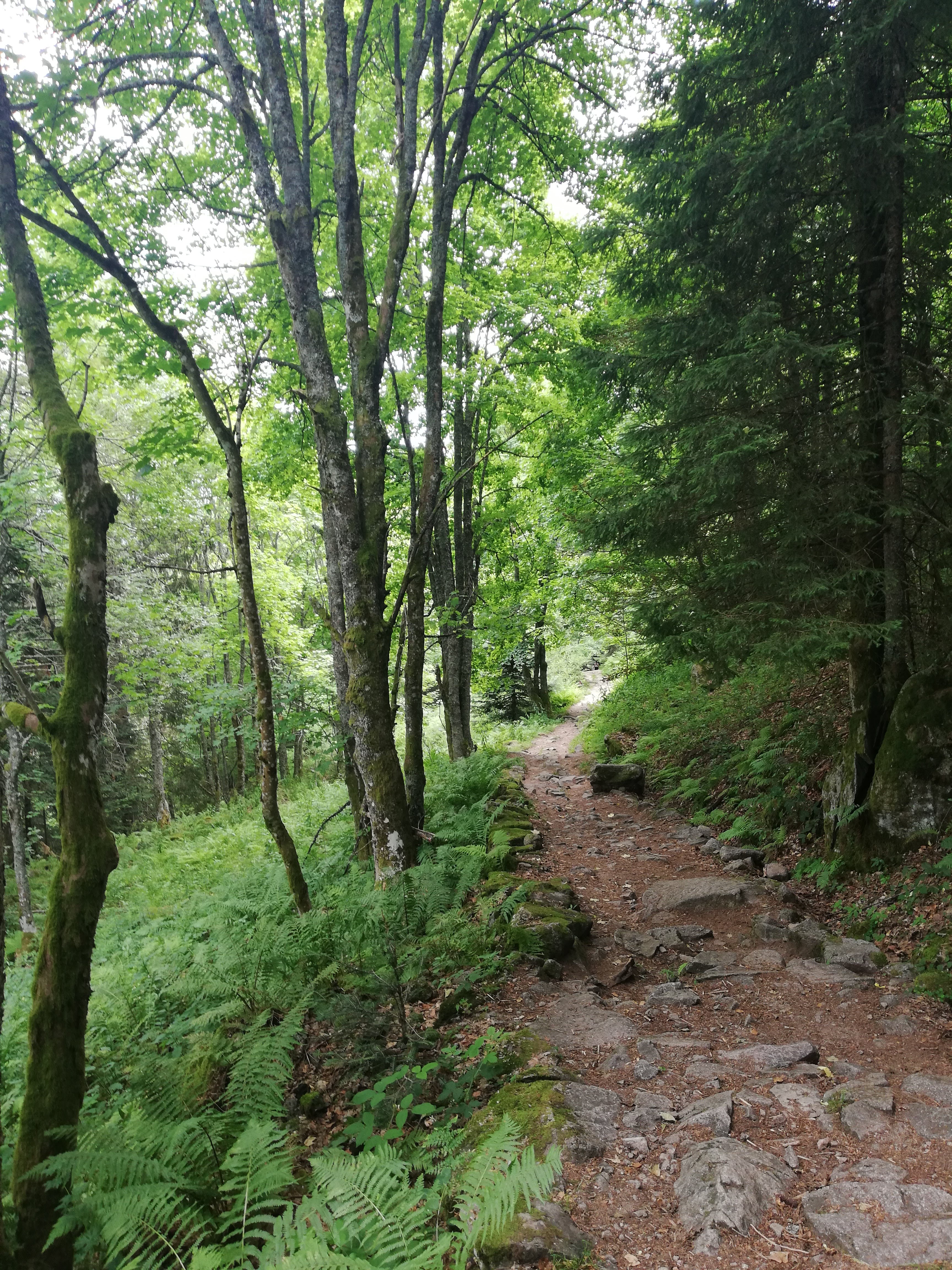 Photo n° 5 de l'avis de E..s fait le 27/07/2019 à 05:10