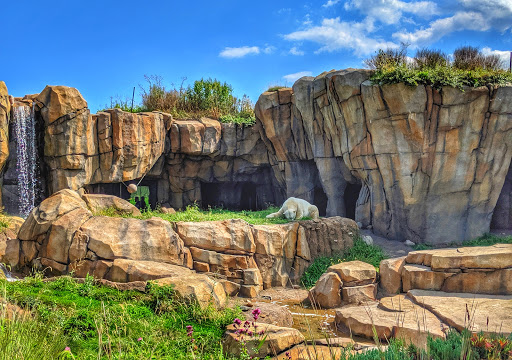 Park «Lincoln Park», reviews and photos, 2045 N Lincoln Park W, Chicago, IL 60614, USA