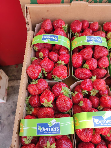 Grocery Store «Valentino Food Market», reviews and photos, 66-64 Fresh Pond Rd, Ridgewood, NY 11385, USA