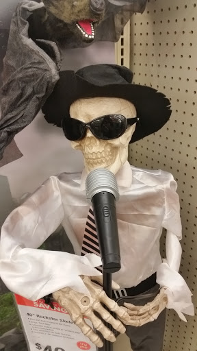 Discount Store «Big Lots», reviews and photos, 4628 W Diversey Ave, Chicago, IL 60639, USA