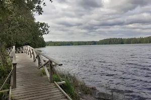 Liesjärvi National Park image