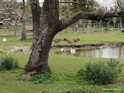 Parque Educativo Ambiental Quinta de Medina