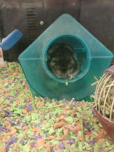 Pet Supply Store «PetSmart», reviews and photos, 1145 W Riverdale Rd, Riverdale, UT 84405, USA