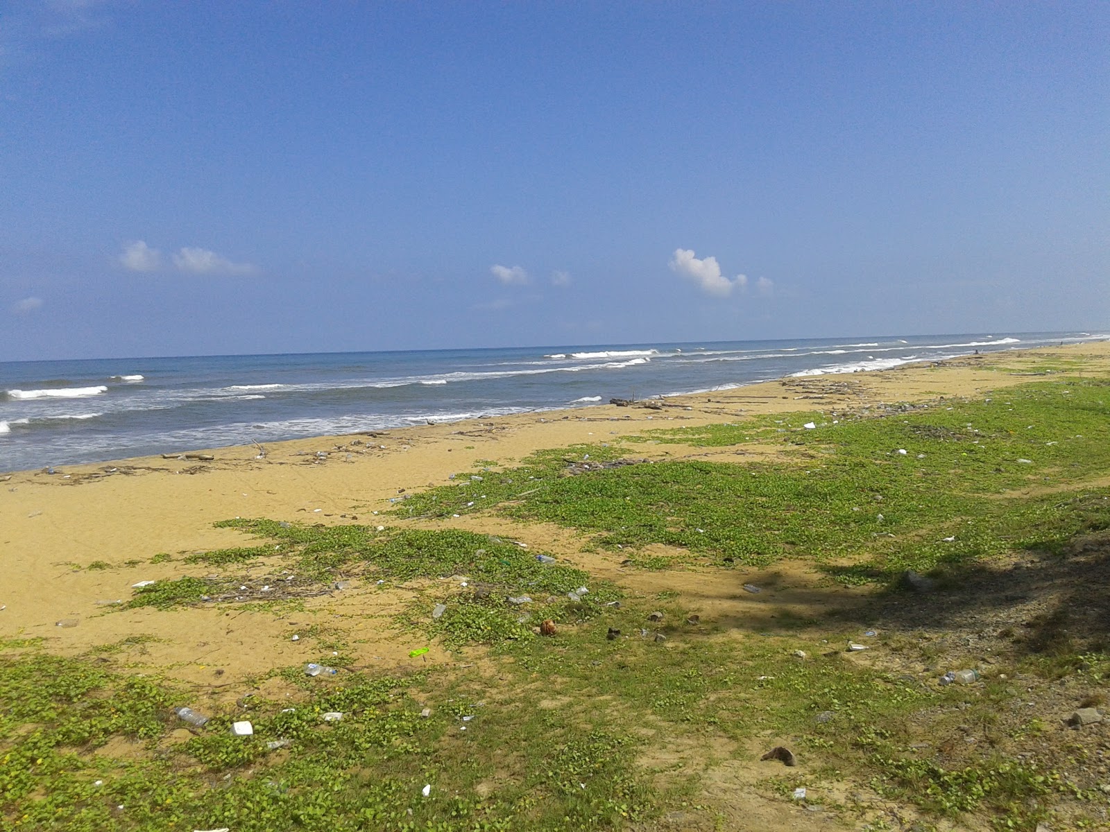 Foto di Pothupitiya Beach e l'insediamento