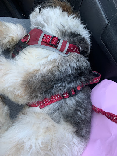 Pet Supply Store «Petco Animal Supplies», reviews and photos, 3012 Bridgepointe Pkwy, San Mateo, CA 94404, USA