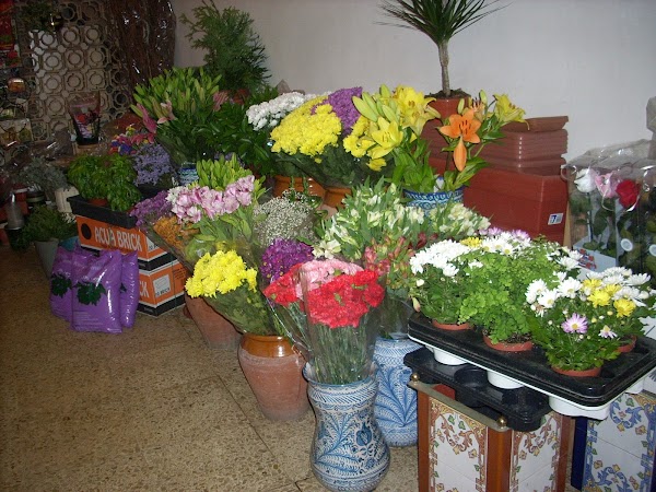 AIXA FLORISTERIA