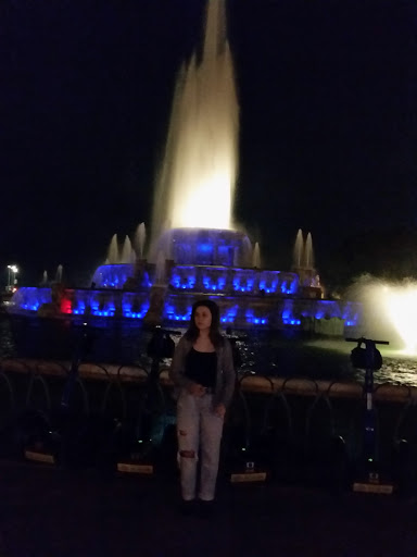 Bicycle Rental Service «Bike and Roll Chicago - Millennium Park», reviews and photos, 239 E Randolph St, Chicago, IL 60601, USA