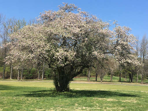 Golf Course «Greendale Golf Course», reviews and photos, 6700 Telegraph Rd, Alexandria, VA 22310, USA