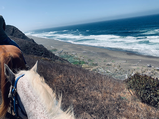 Stable «Ross Ranch», reviews and photos, 28300 Philo Greenwood Rd, Elk, CA 95432, USA