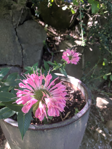 Park «Kirke Park», reviews and photos, 7028 9th Ave NW, Seattle, WA 98117, USA