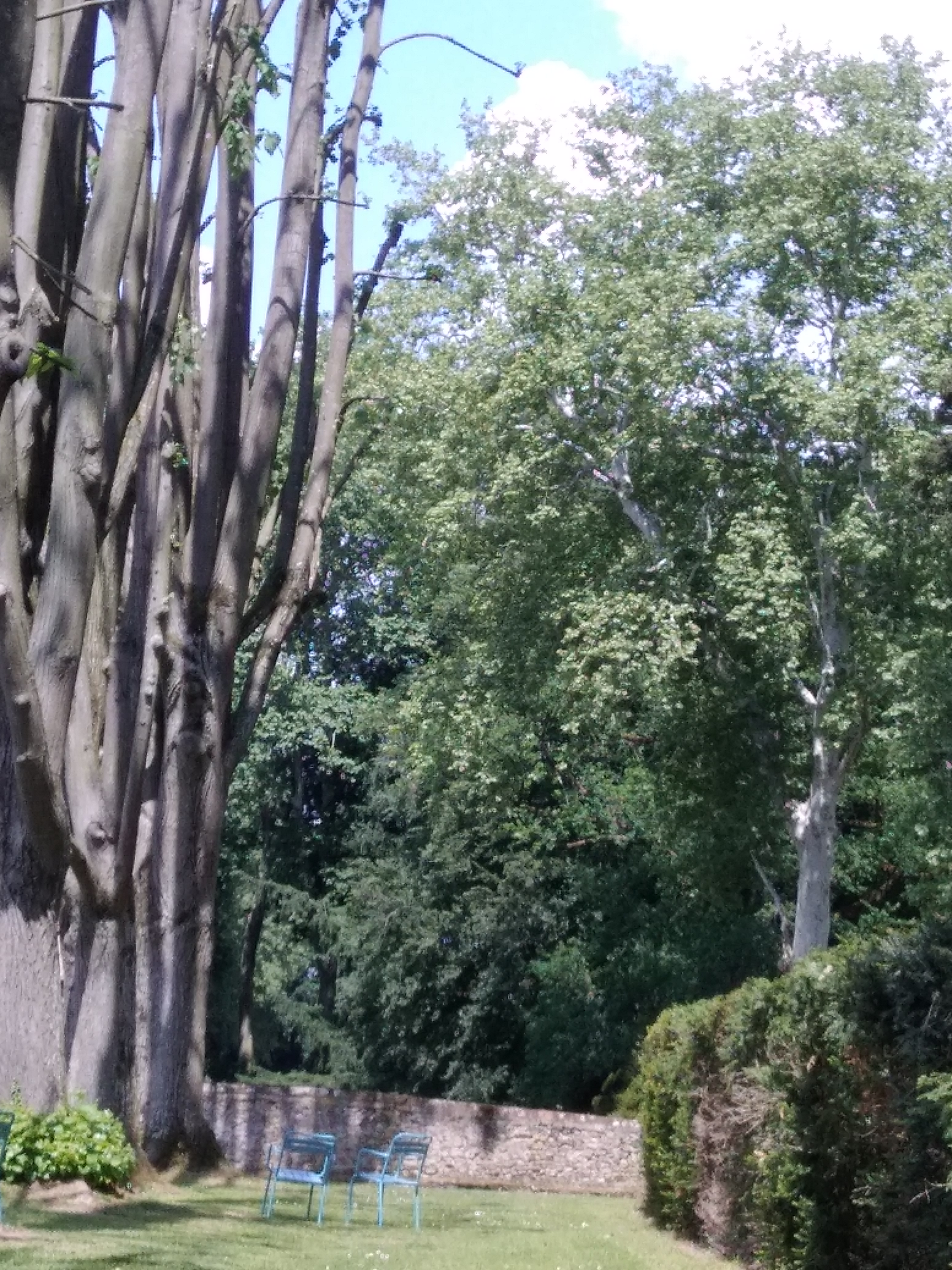 Photo n° 4 de l'avis de Rafaël. fait le 08/05/2018 à 11:48
