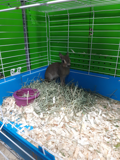 Bay Area Exotic Pets