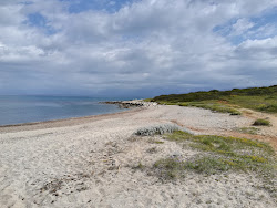 Antinioti West Beach'in fotoğrafı ve güzel manzarası