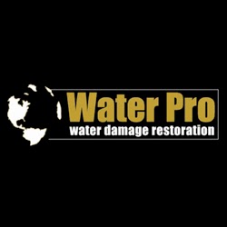Water Pro Inc. in Dacula, Georgia