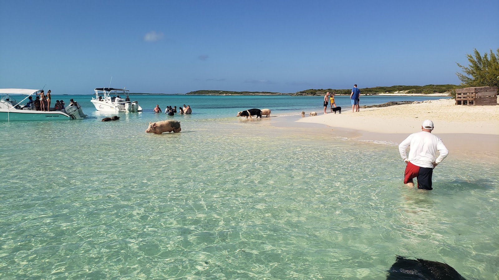 Photo of Pig beach with straight shore
