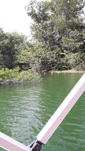 Zoo «Zoo Miami», reviews and photos, 12400 SW 152nd St, Miami, FL 33177, USA