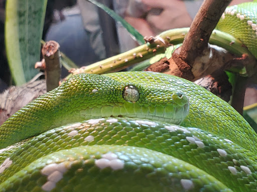 Zoo «Riverbanks Zoo and Garden», reviews and photos, 500 Wildlife Pkwy, Columbia, SC 29210, USA