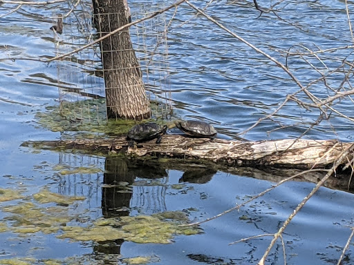 Nature Preserve «Heard Natural Science Museum & Wildlife Sanctuary», reviews and photos, 1 Nature Pl, McKinney, TX 75069, USA