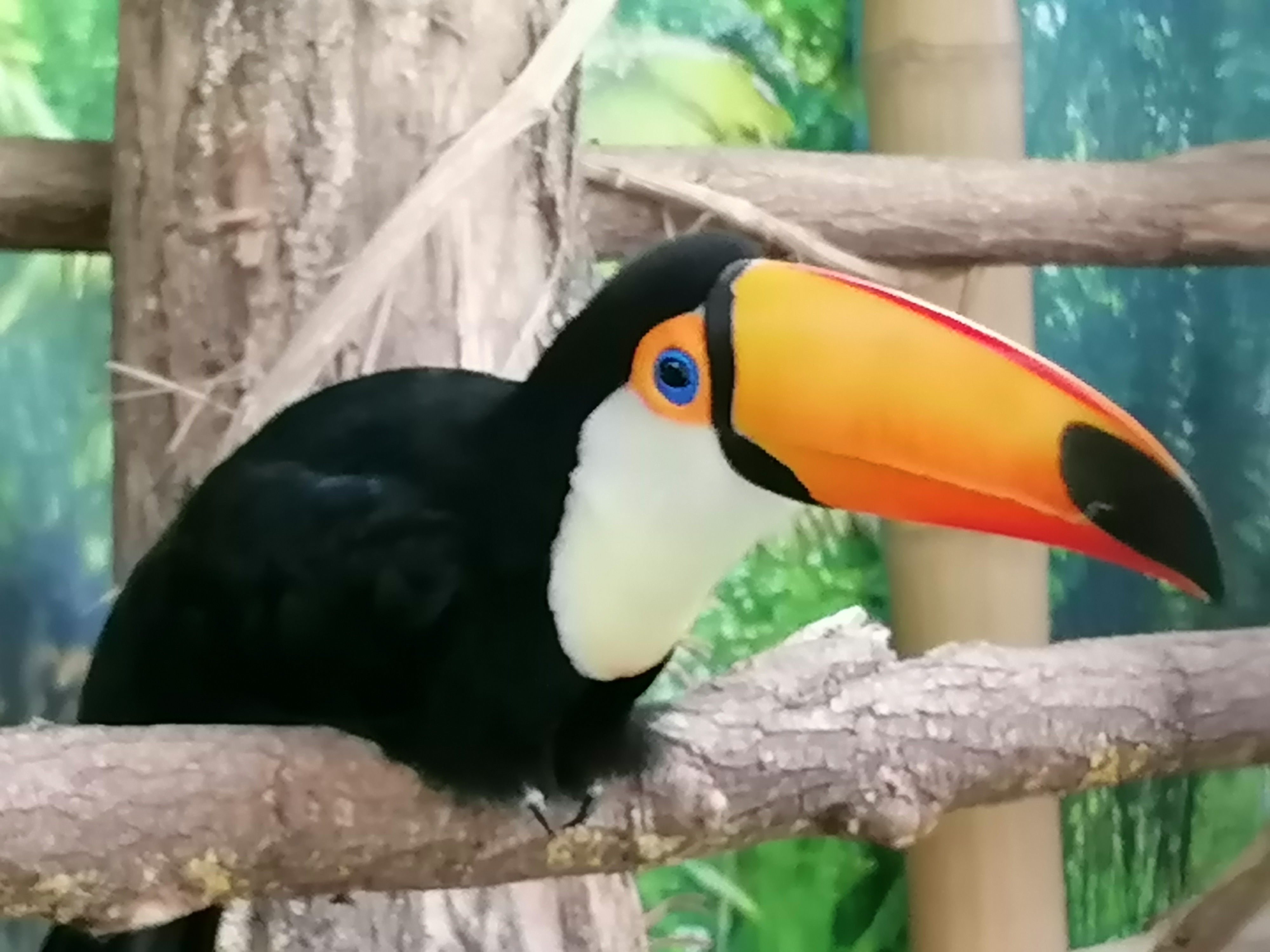 Photo n° 44 de l'avis de Gilles.. fait le 23/08/2023 à 12:57