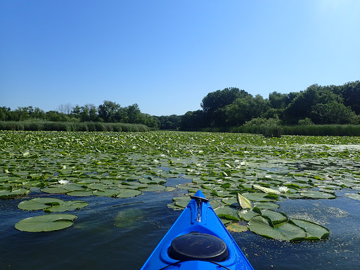 Park «French Regional Park», reviews and photos, 12605 Rockford Rd, Plymouth, MN 55441, USA