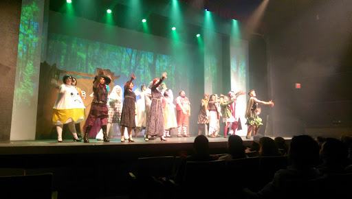 Performing Arts Theater «The Ziegfeld Theater», reviews and photos, 3934 Washington Blvd, Ogden, UT 84403, USA