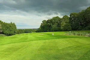 Old Conna Golf Club image