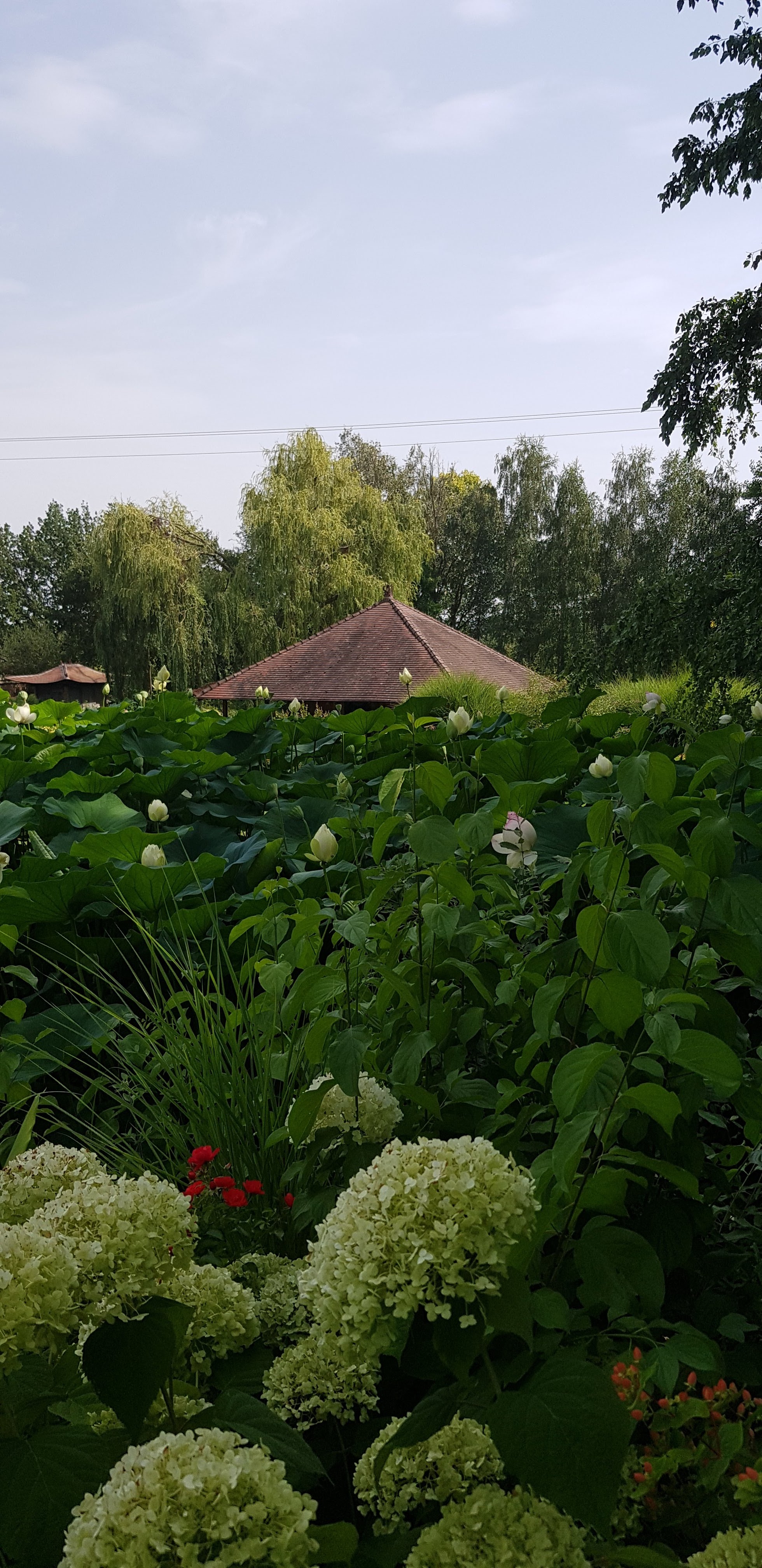 Photo n° 11 de l'avis de jean-marc.e fait le 27/08/2020 à 18:12