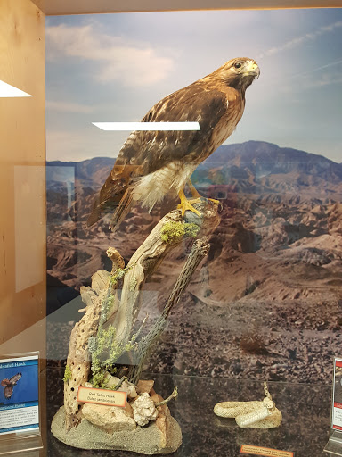 Ocotillo Wells Ranger Station image