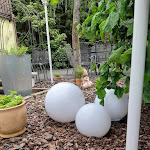 Photo n°1 de l'avis de Michael.i fait le 21/07/2020 à 14:10 sur le  Restaurant Haus am Weiher à Siegen