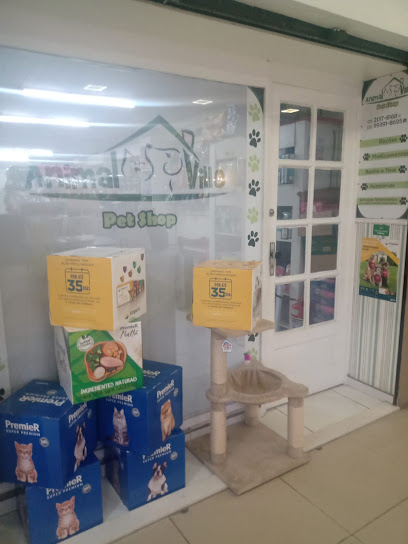 Animal Ville RJ Pet Shop Vila Isabel Rio de Janeiro