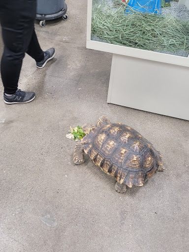 Pet Supply Store «Premier Pet Supply», reviews and photos, 31215 Southfield Rd, Beverly Hills, MI 48025, USA