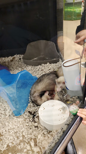 Pet Supply Store «Petco Animal Supplies», reviews and photos, 35860 Chester Rd, Avon, OH 44011, USA