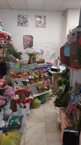 Магазин за цветя ФЕИЧКИТЕ - Елин Пелин