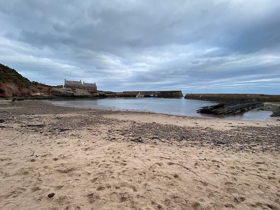 Cove Harbour