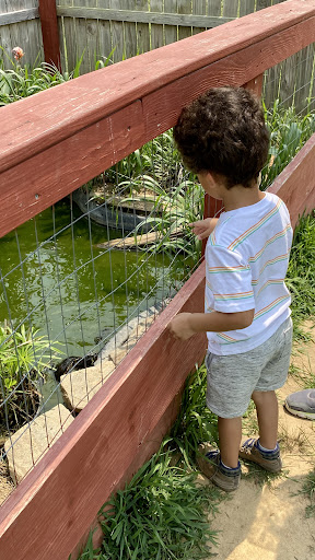 Zoo «3 Palms Zoo & Education Center», reviews and photos, 924 Blackbird Forest Rd, Clayton, DE 19938, USA