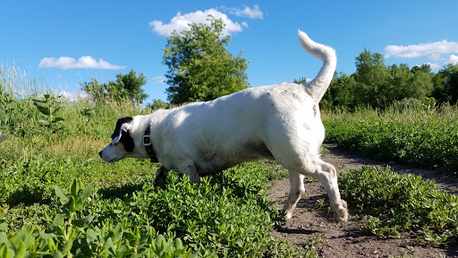 Park «Elm Creek Park Reserve», reviews and photos, 12400 James Deane Pkwy, Maple Grove, MN 55369, USA