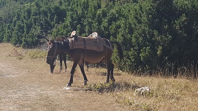 Photos of Llogara National Park