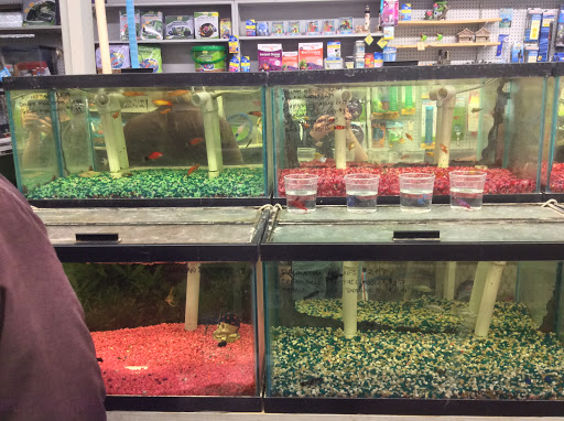 Pet Store «Oasis Tropicals», reviews and photos, 507 Commerce St, Pleasanton, TX 78064, USA