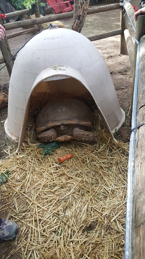 Wildlife Rescue Service «Southwest Wildlife Conservation Center», reviews and photos, 27026 N 156th St, Scottsdale, AZ 85262, USA