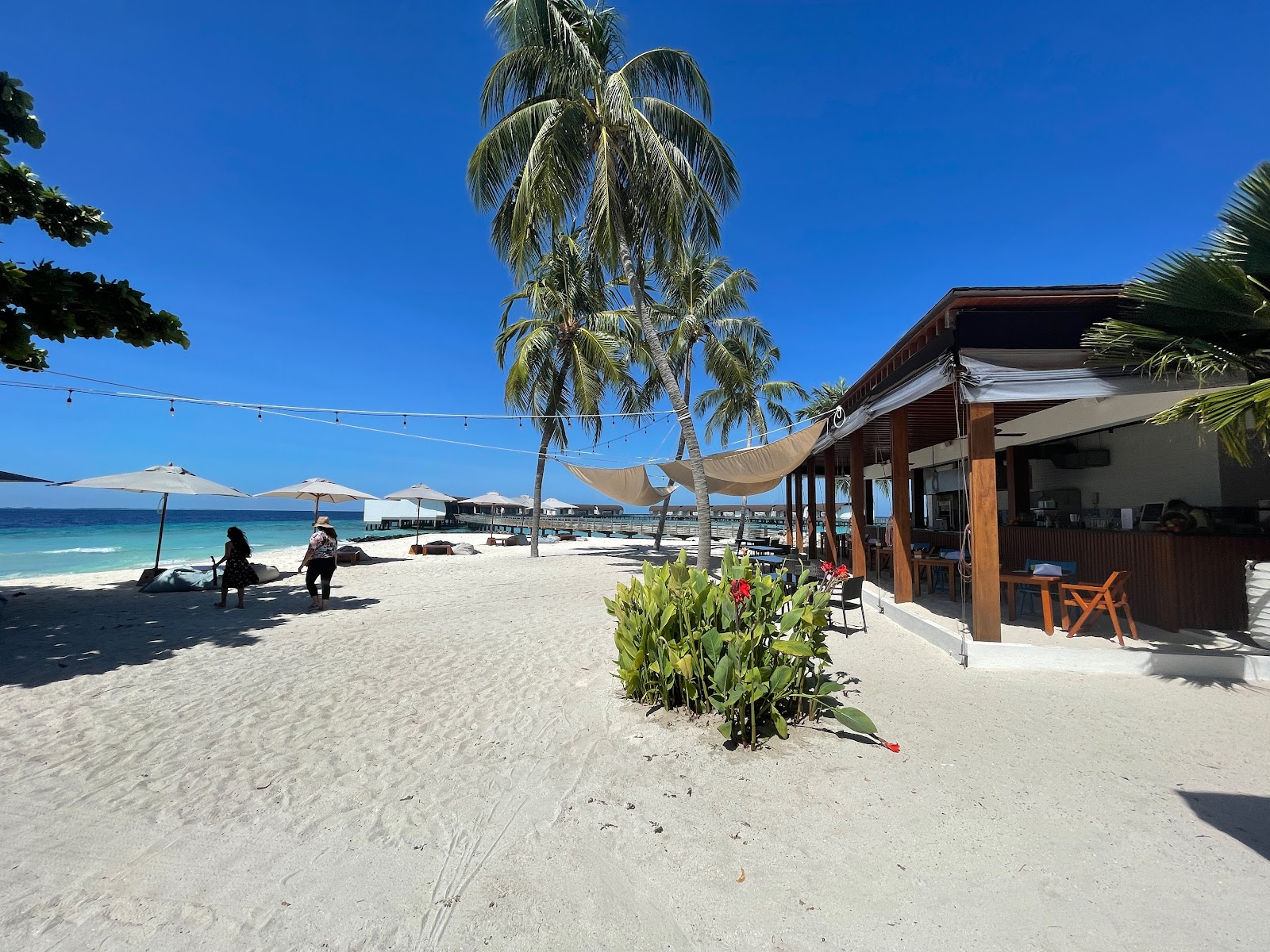 Foto de Playa de la Isla Miriandhoo con recta y larga