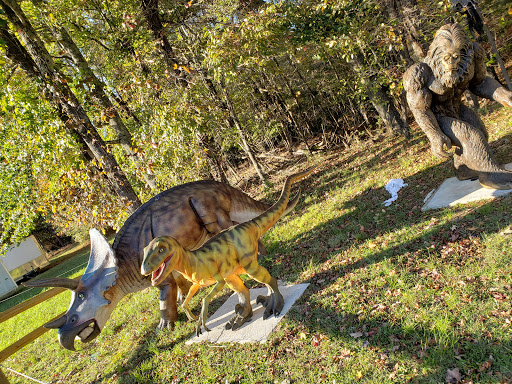 Cigar Shop «Border Store», reviews and photos, 4240 James Madison Pkwy, King George, VA 22485, USA