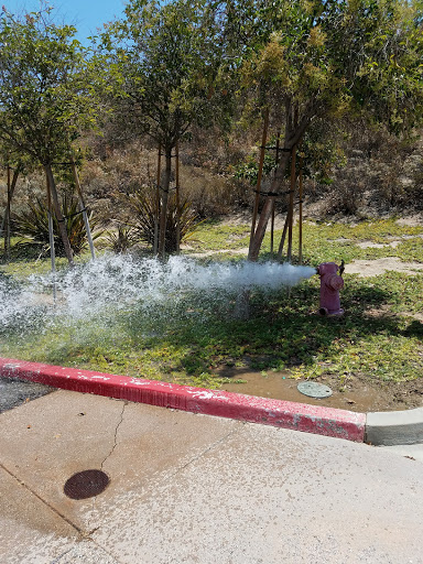 Moving Company «Camelot Moving & Storage», reviews and photos, 28040 Industry Dr, Valencia, CA 91355, USA