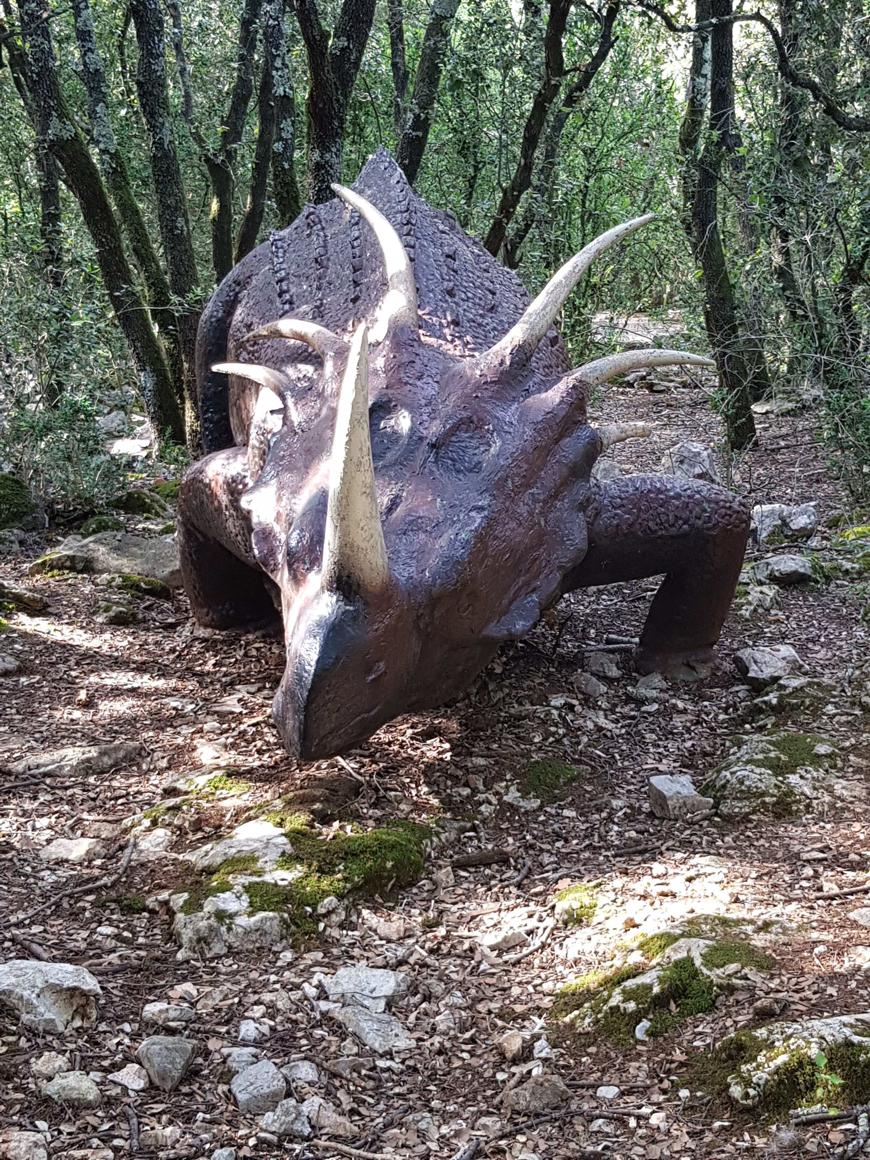 Photo n° 31 de l'avis de Dominique.o fait le 19/08/2021 à 11:21