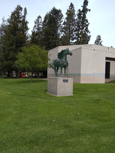 Museum «Triton Museum of Art», reviews and photos, 1505 Warburton Ave, Santa Clara, CA 95050, USA