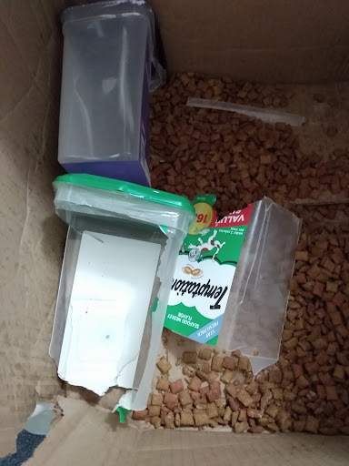 Pet Supply Store «PetSmart», reviews and photos, 225 NW Commons Loop, Lake City, FL 32055, USA