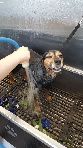 Pet Supply Store «Pet Supplies Plus», reviews and photos, 2157 Penfield Rd, Penfield, NY 14526, USA