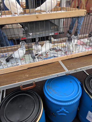 Pest Control Service «Moyer Indoor | Outdoor», reviews and photos, 113 E Reliance Rd, Souderton, PA 18964, USA