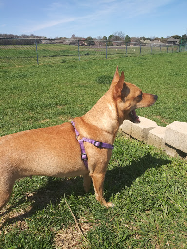 Dog Park «Bedford Bark Park», reviews and photos, 3200 Meadow Park Dr, Bedford, TX 76021, USA