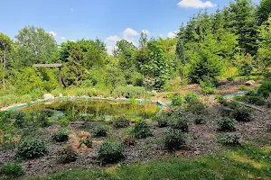 Gołubieński Botanical Garden image